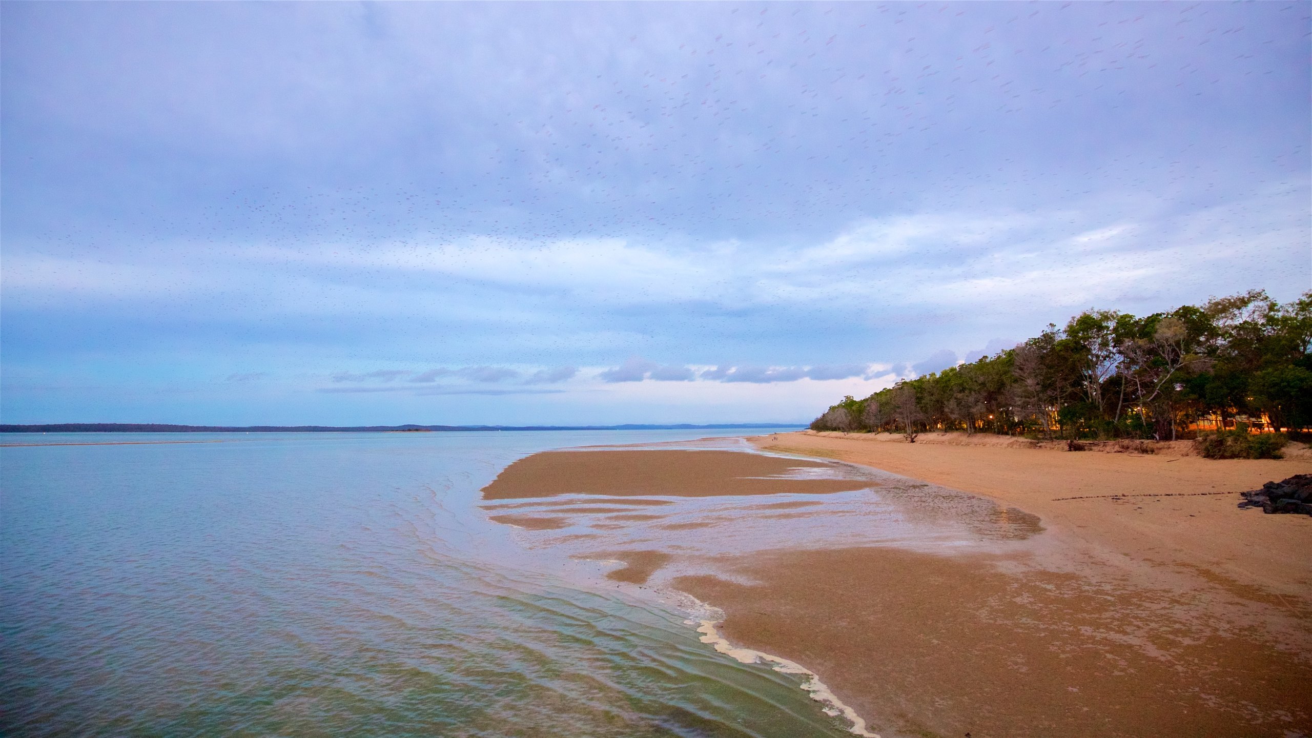 VISIT FRASER COAST