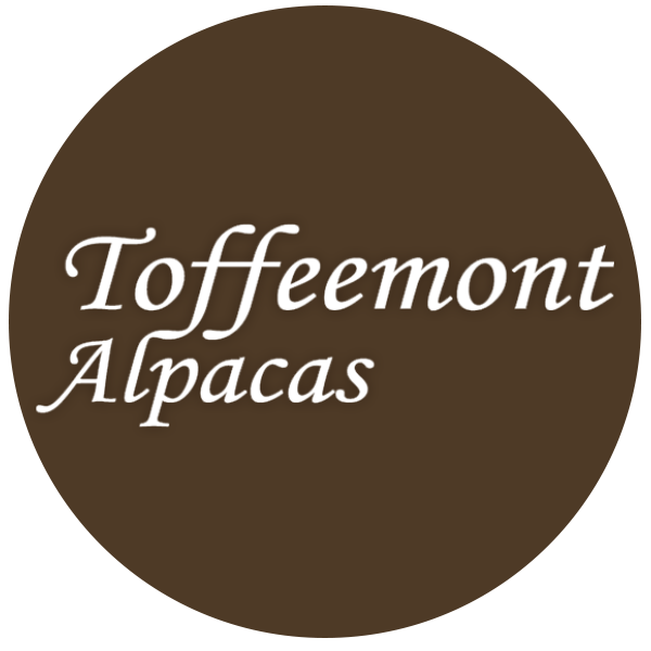 TOFFEEMONT ALPACAS