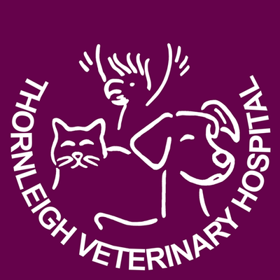 THORNLEIGH VET HOSPITAL