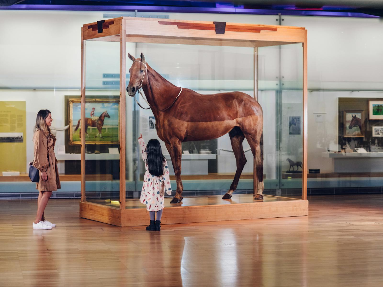 MELBOURNE MUSEUM