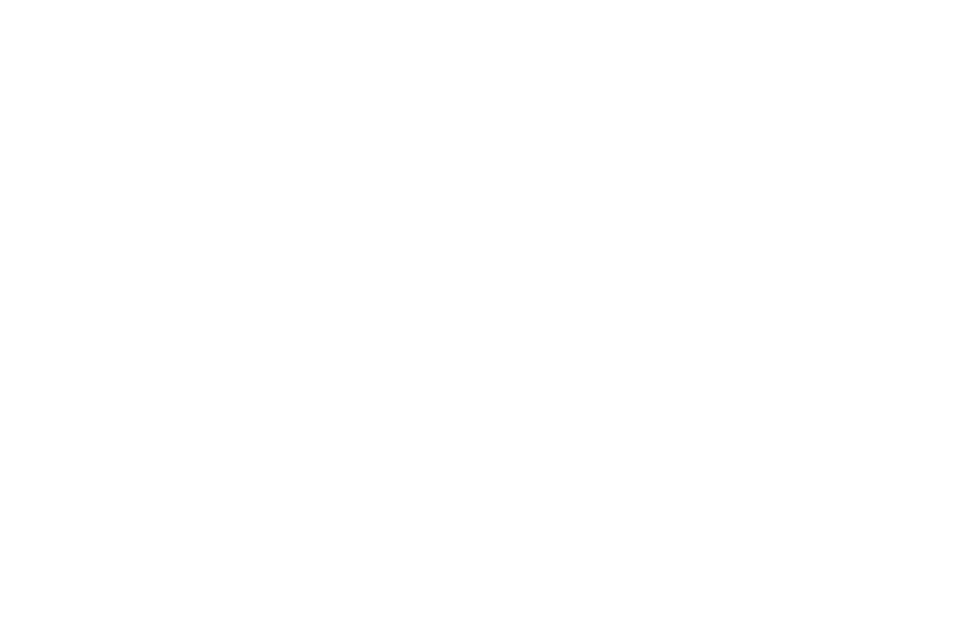 FLYNN’S PALMERSTON