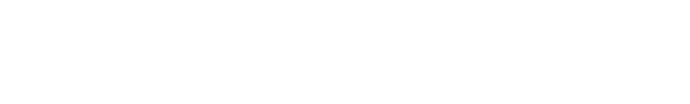 THE PROPERTY GROUP