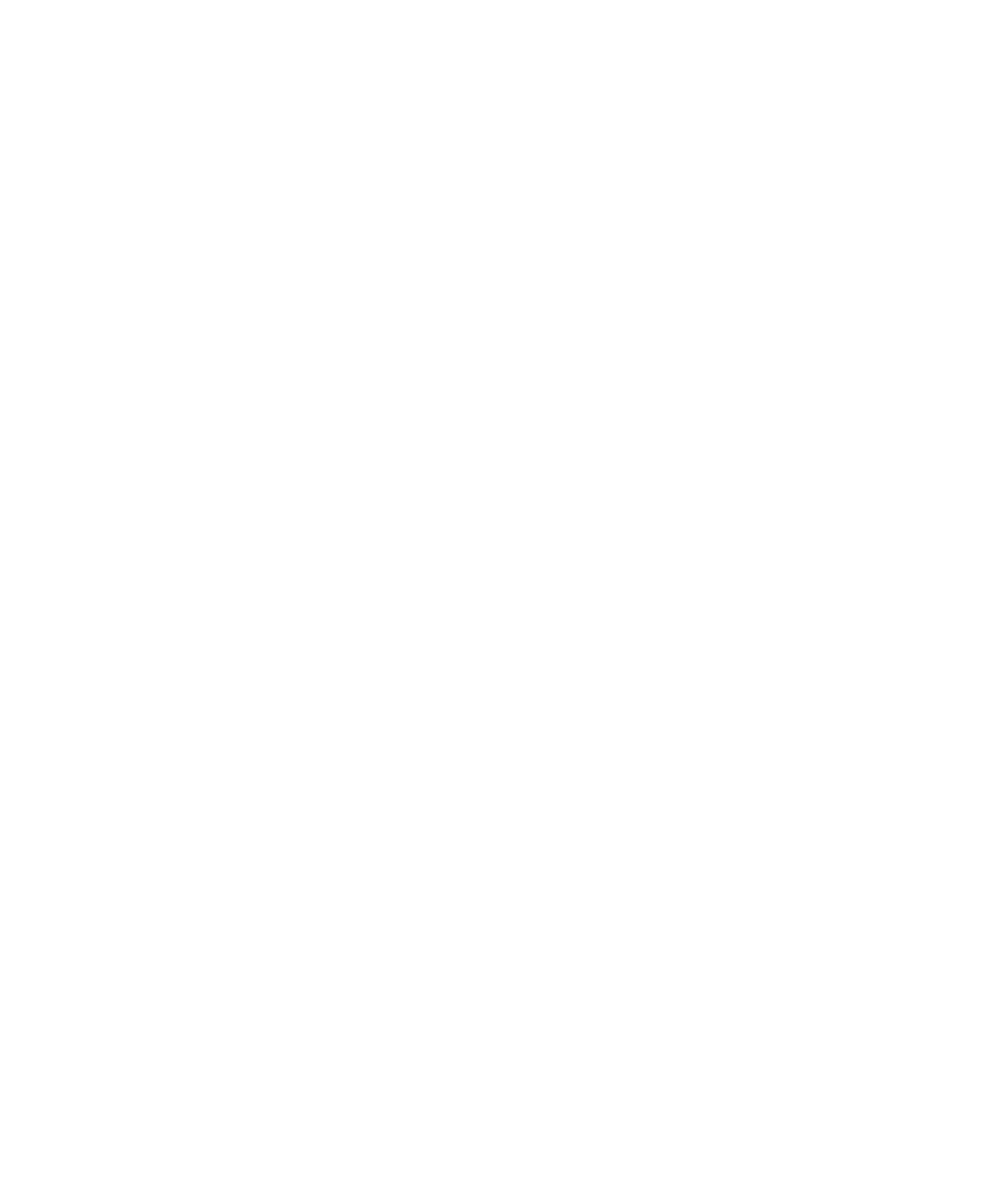 BLUEGUM LOANS
