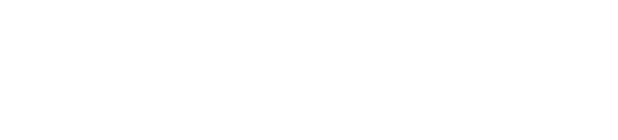 HOW TO TRAIN YOUR DRAGON MOVIE